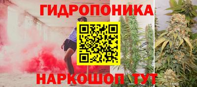 гашик Протвино